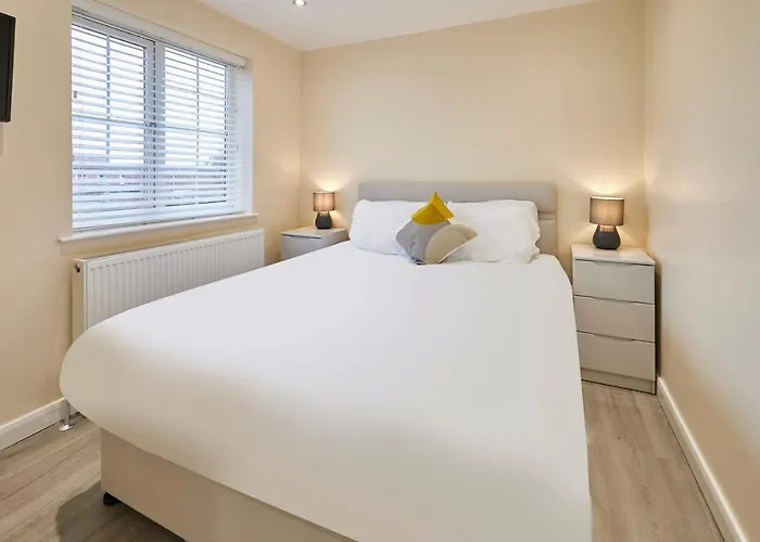 Host & - Violet's View